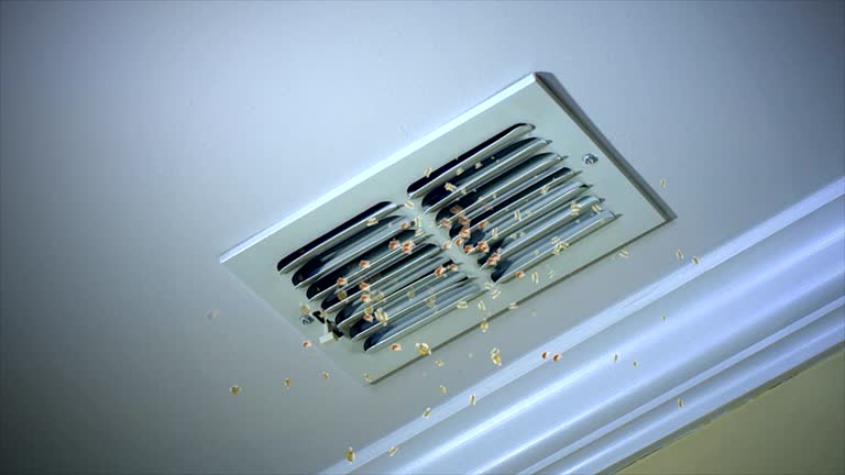 Best Affordable HVAC Duct Cleaning  in Baraboo, WI